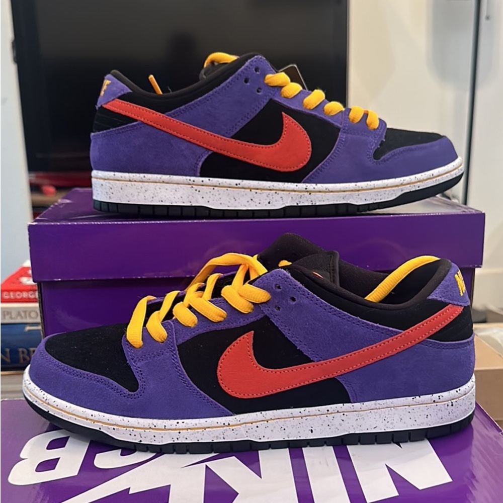 Men’s Nike sb dunk low acg terra size 10.5 DS
